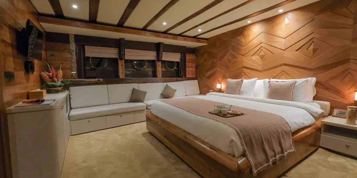 CABIN TURTLE - Image 1